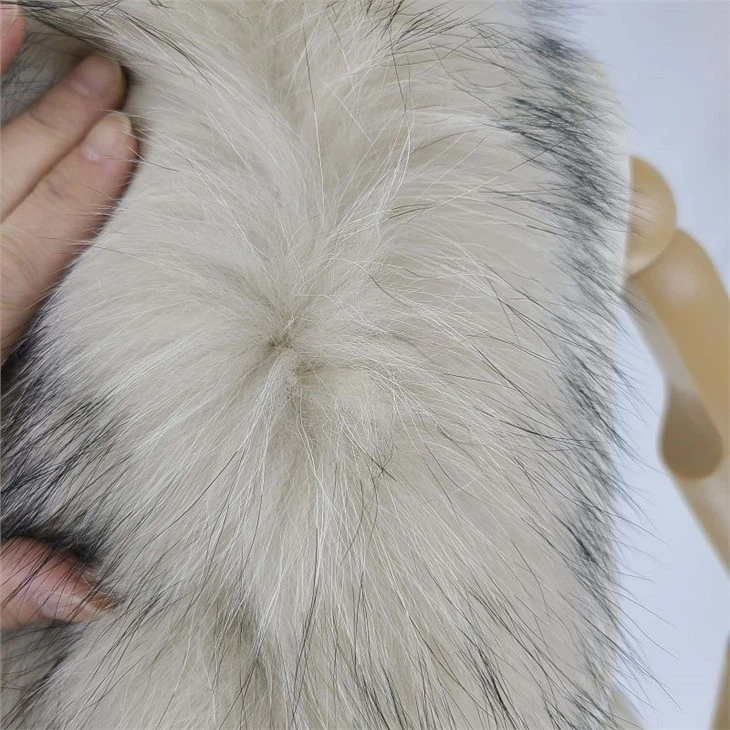 20220302_152701(001)